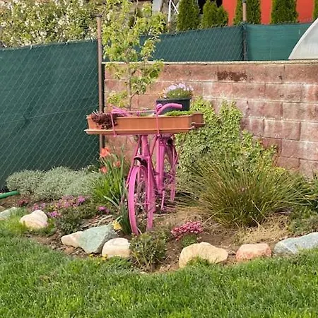 Homestay Izba Pre Styri Osoby Kolta