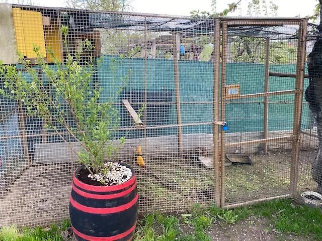 בית אירוח Izba Pre Styri Osoby